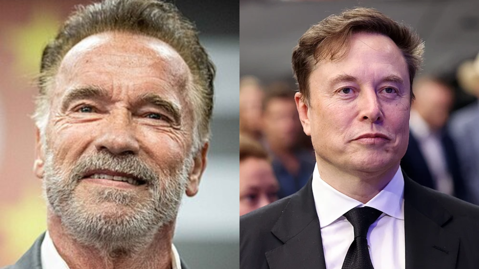 America’s Top 10 Most Successful Immigrants: Only 1 woman in top 10, Elon Musk ranked 2
