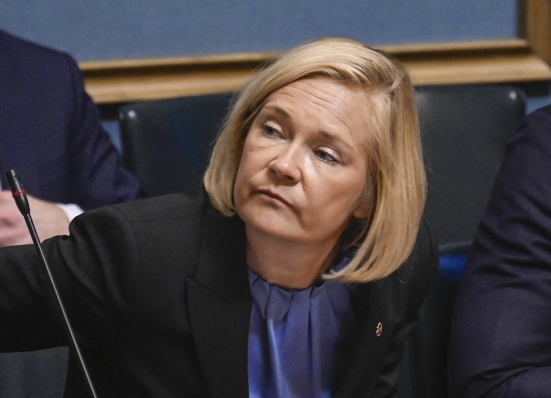 Rantanen: Finland exploring offshore migrant return hub