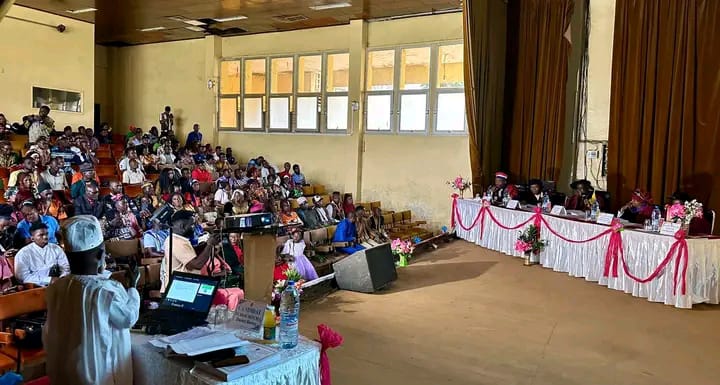 Électricité au Cameroun : une piste innovante pour électrifier durablement les zones rurales