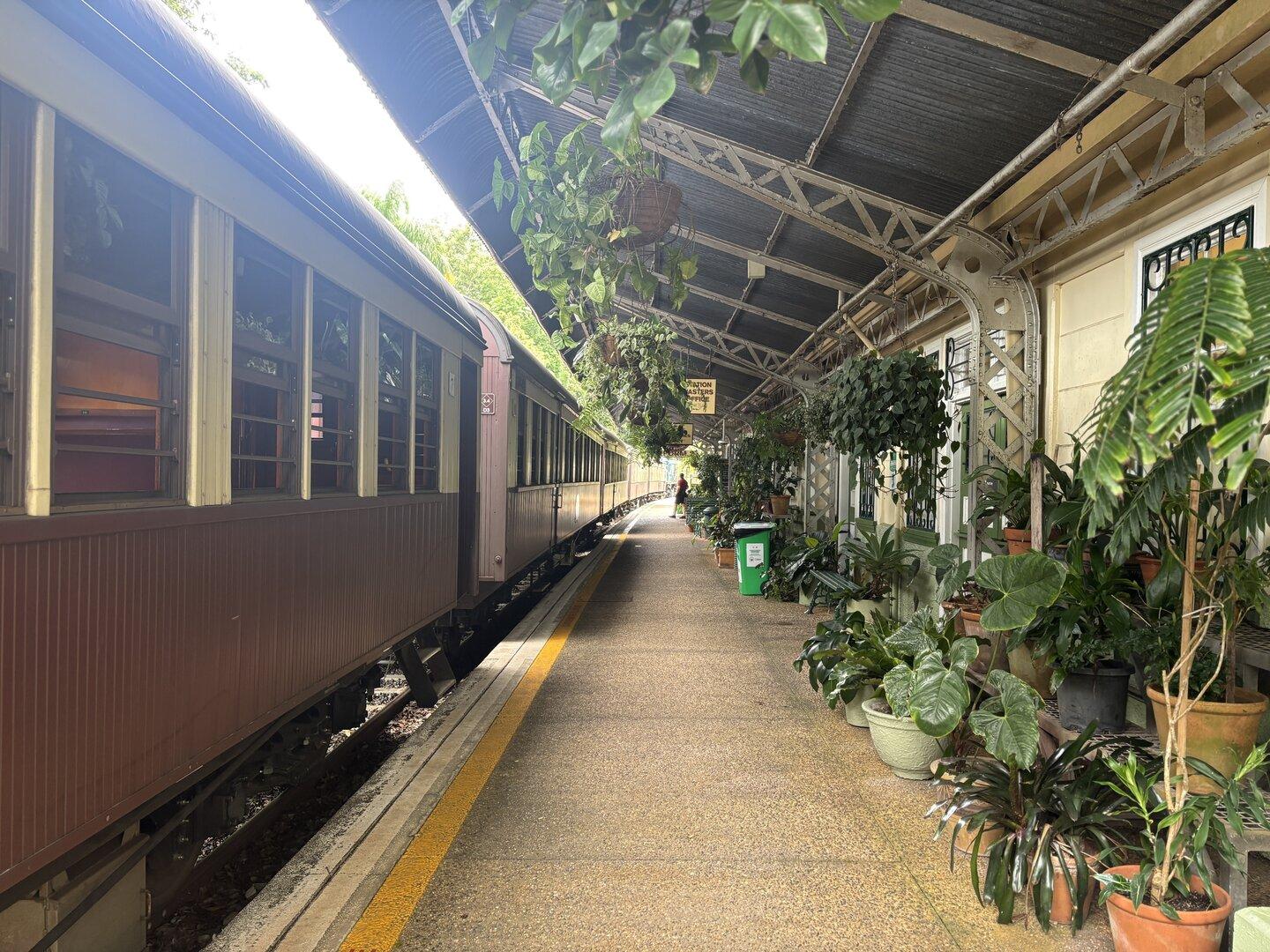 Endstation Regenwald: Ein ungewöhnlicher Bahnhof in Australien
