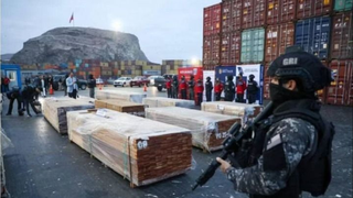 Senado investigará quién autorizó los cargamentos de madera contaminados con droga