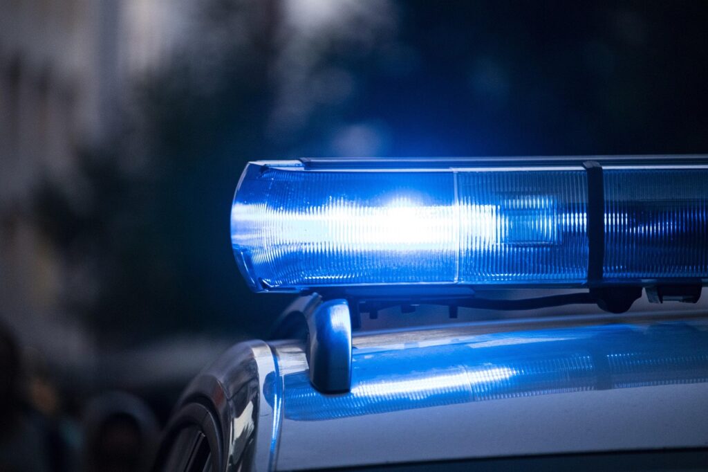 Man arrested over fire in Paris park