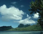 The Traveller by Andrea Wulf review – an 18th century explorer far ahead of his time