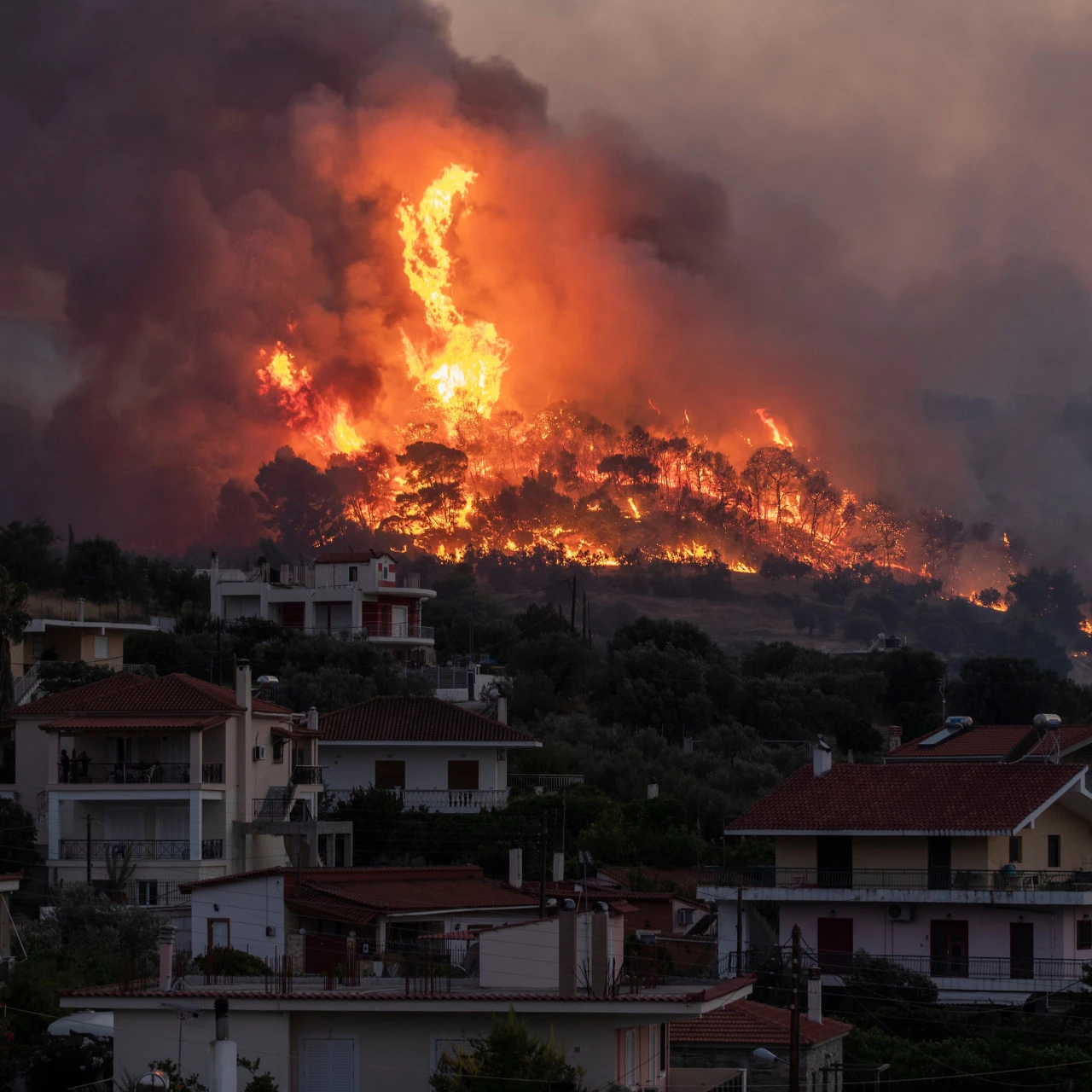 U delu Halkidikija sutra zabrana kretanja zbog visokog rizika od izbijanja požara