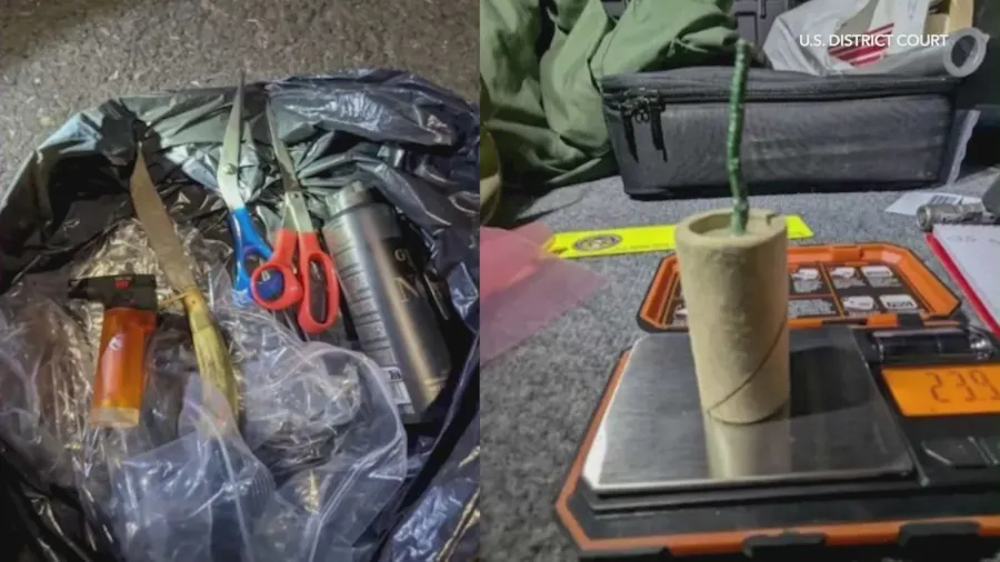 Grand jury indicts California man for allegedly attempting to board plane with explosive
