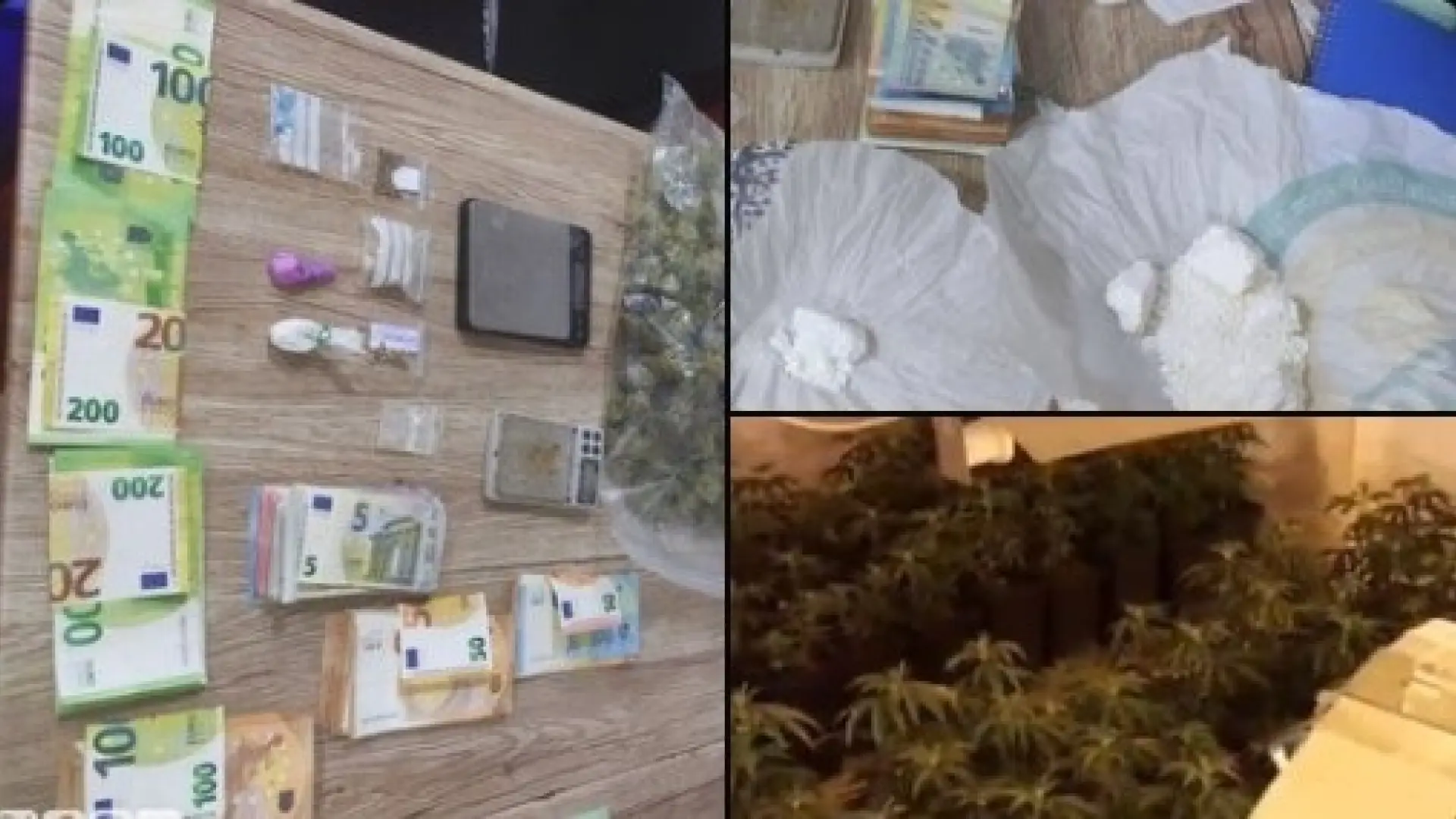  Cierran un local de comida rápida tras encontrar insectos, carne sin etiquetar y una plantación de droga 
