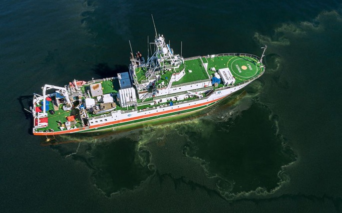 Risk of blue-green algae blooms remains high in Finnish seas