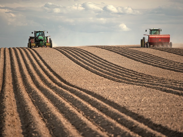 În primul semestru din 2026 s-au încheiat zece tranzacţii cu terenuri agricole, de peste 3,5 mil. euro. Judeţul Timiş are cele mai multe tranzacţii şi cel mai ridicat preţ pe hectar. Augustin Oancea (Tinmar) îşi continuă extinderea în agricultură prin Intercereal şi cumpără 50 ha de teren în Teleorman, după o achiziţie similară făcută în 2025