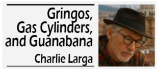 My horse reads the newspaper and other useful Spanish phrases