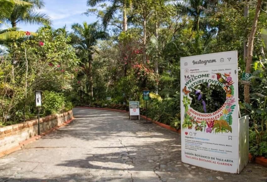 MND Local: New annual report highlights Vallarta Botanical Gardens’ expanding conservation mission