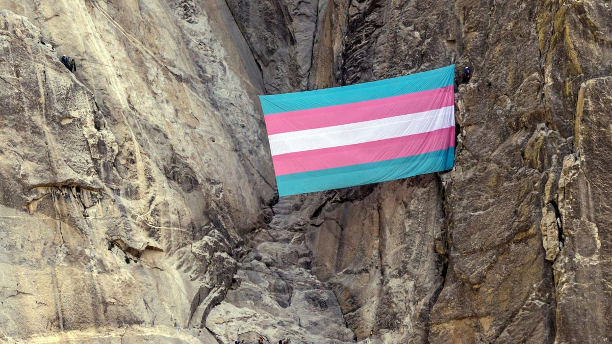 Federal judge rules she lacks authority to reinstate fired Yosemite ranger who flew trans pride flag