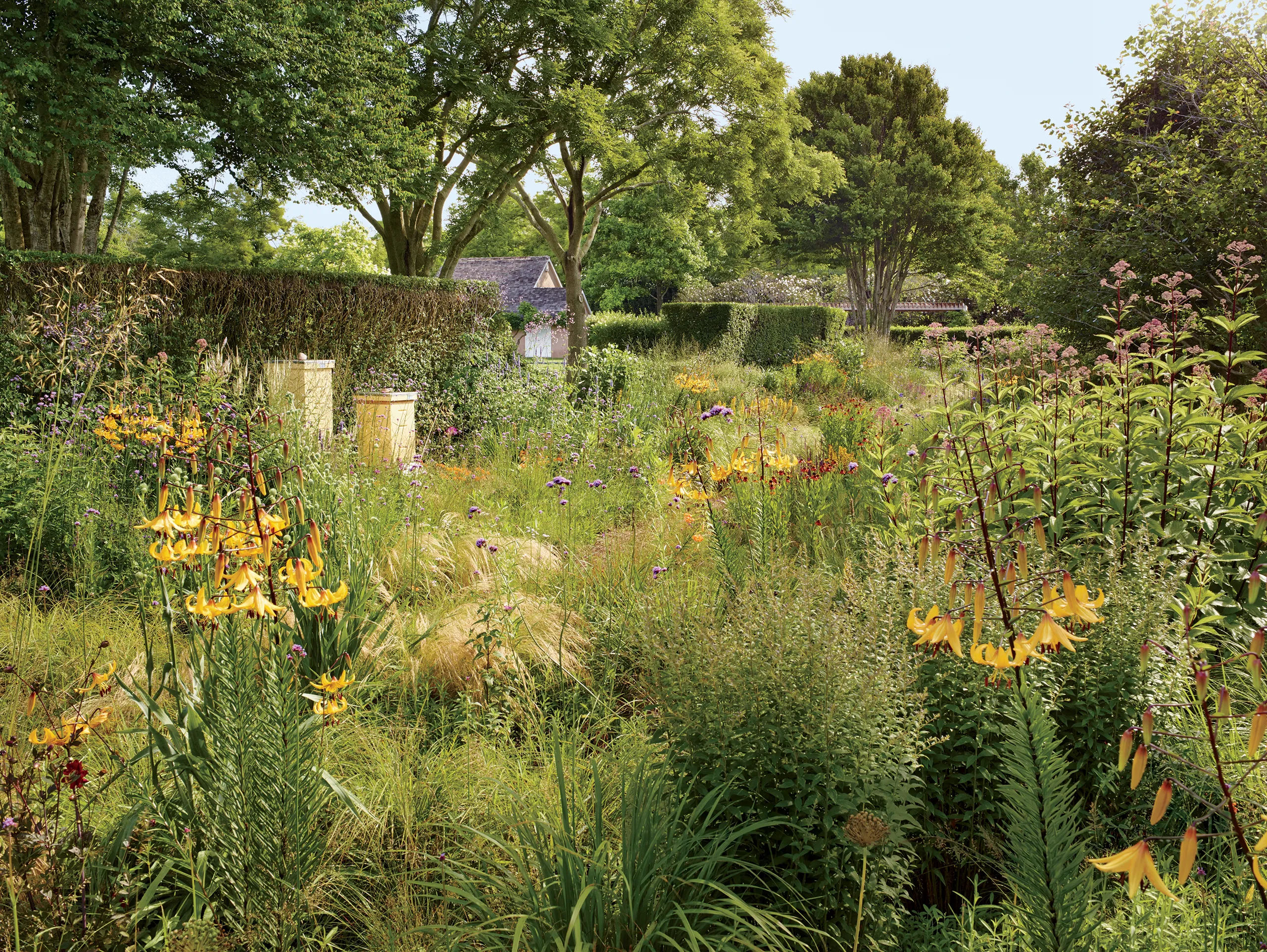 What Is a Chaos Garden?