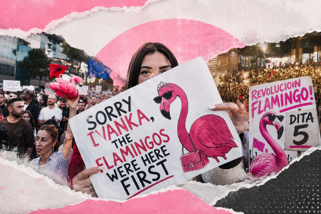 Vídeo | Revolución Flamingo: Albania se levanta contra el colonialismo de lujo de los Trump