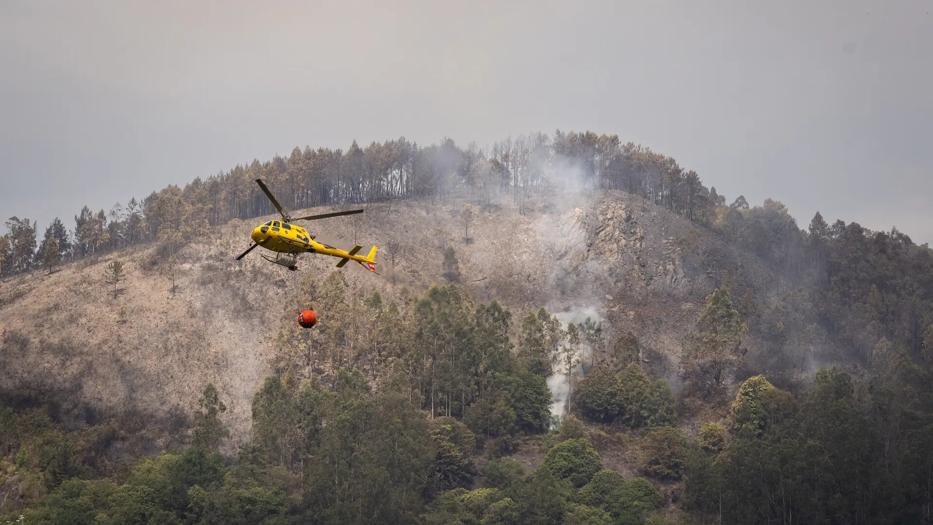 El Gobierno pide "dosificar" el uso de sus aviones antiincendios a disposición de las autonomías, mermados ahora por las averías 