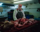 TV tonight: a hugely entertaining series about the Roswell alien autopsy