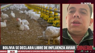 Bolivia logra certificación internacional como país libre de influenza aviar