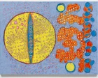 Terry Winters review – flashes of magic in patterns science has yet to explain